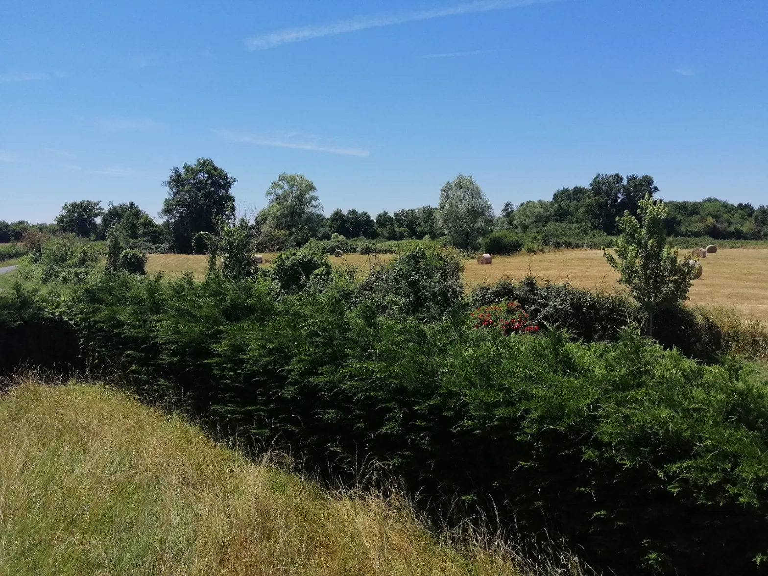 Maison de campagne sur 20 000 m² à vendre près de Nevers et Magny-Cours 