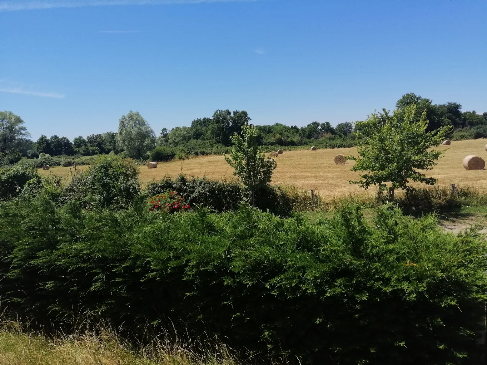 Maison de campagne sur 20 000 m² à vendre près de Nevers et Magny-Cours 