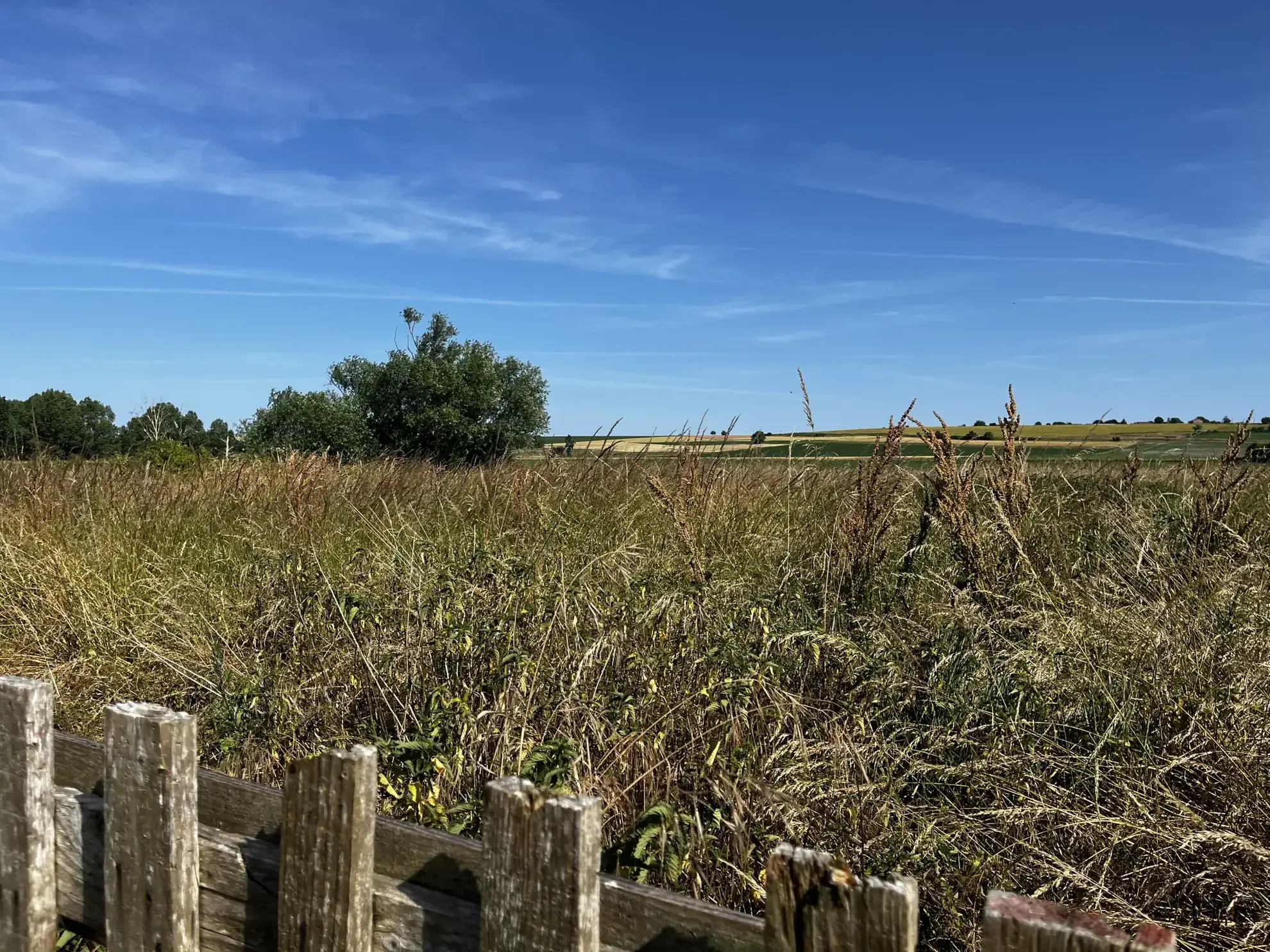 Charmante maison en pierre avec terrain et dépendances à Mirebeau 
