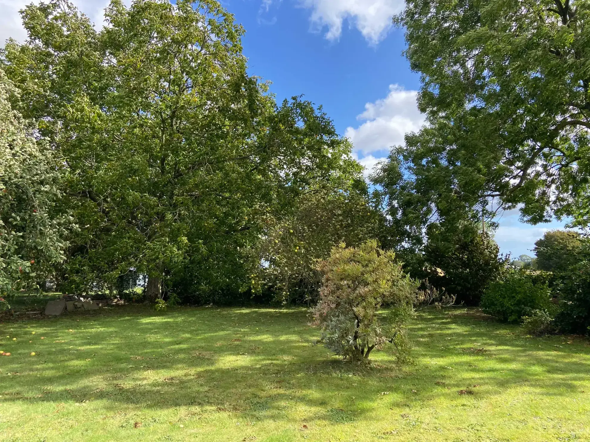 Magnifique maison en secteur d'exception avec grand terrain et garage double 