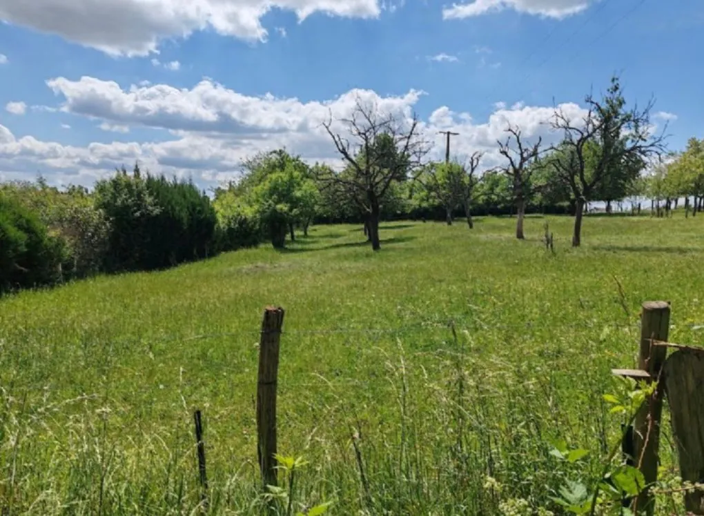 Maison spacieuse de 190 m² à Kalhausen avec jardin et garage 