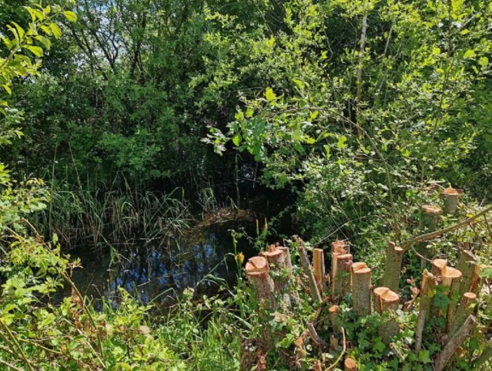 Maison spacieuse de 190 m² à Kalhausen avec jardin et garage 