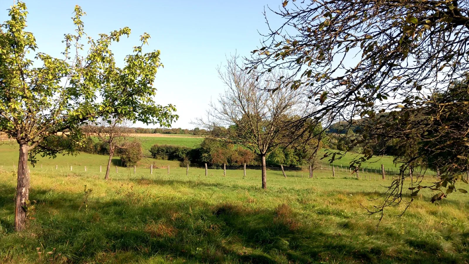 Maison spacieuse de 258 m2 avec atelier chauffé, hangars et grand terrain à Villars-st-Marcellin 