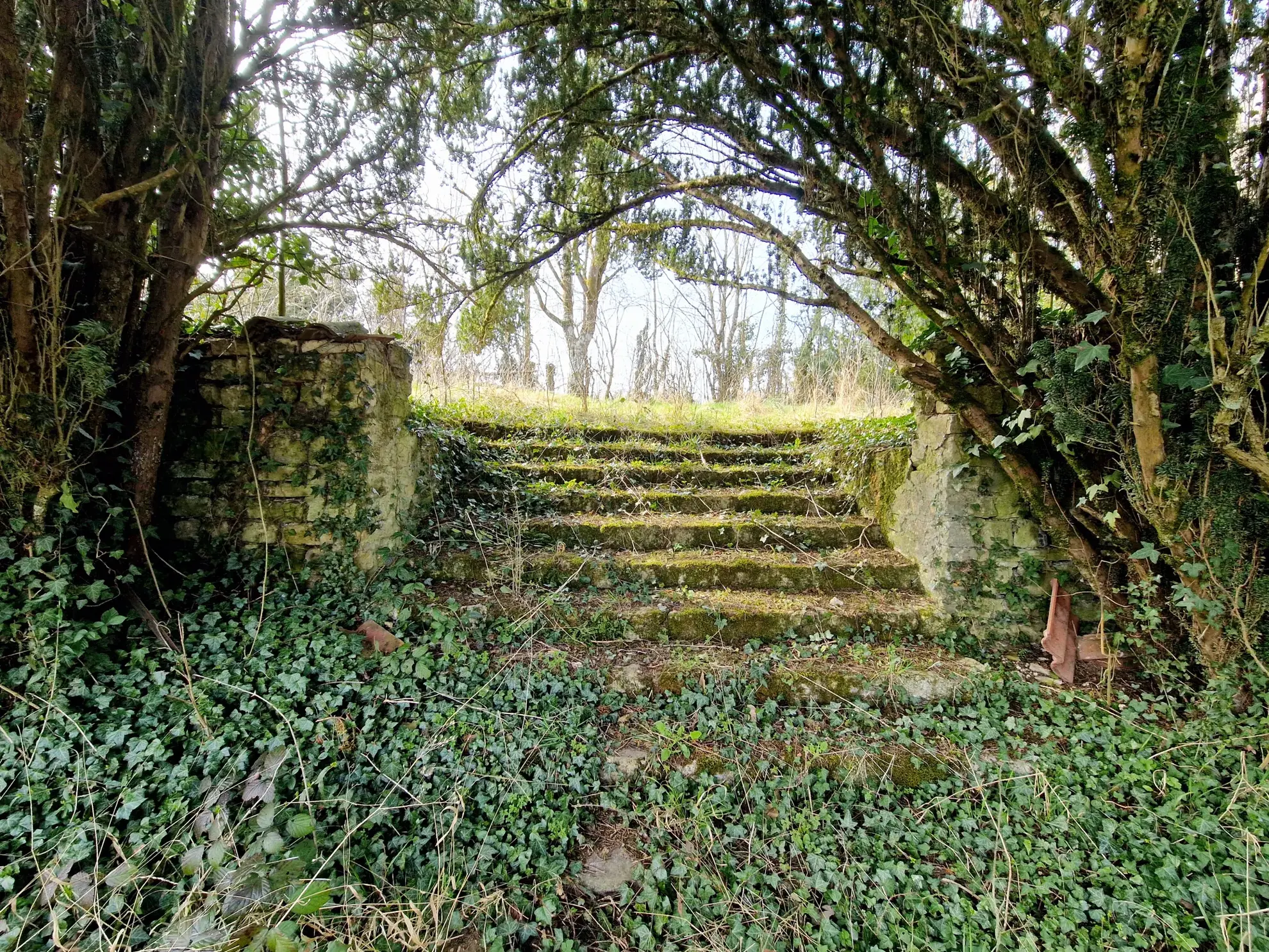 Maison d'architecte à rénover avec grand terrain à Bourbonne-les-Bains 