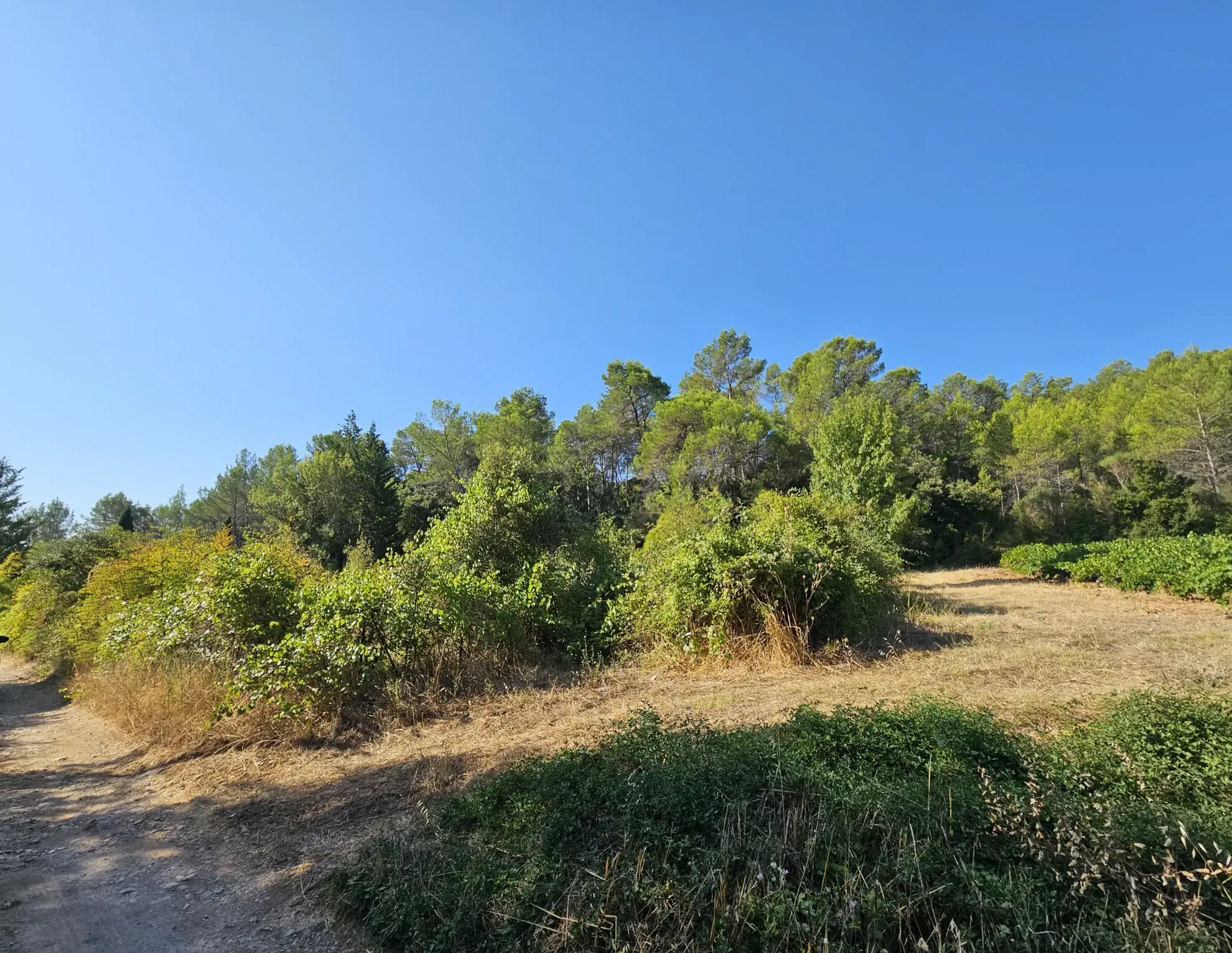 Terrain de loisirs de 2000 m² à Pignans avec puits, proche du centre-ville 
