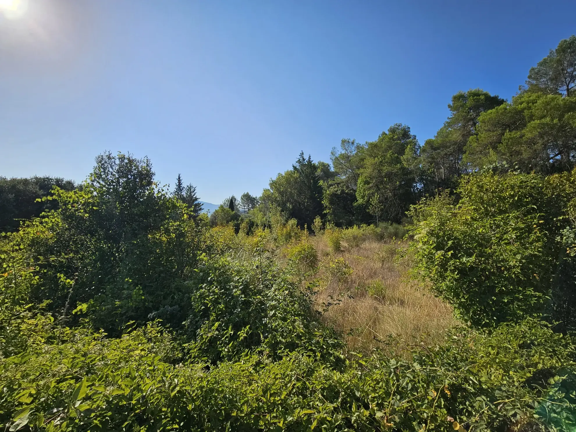 Terrain de loisirs de 2000 m² à Pignans avec puits, proche du centre-ville 