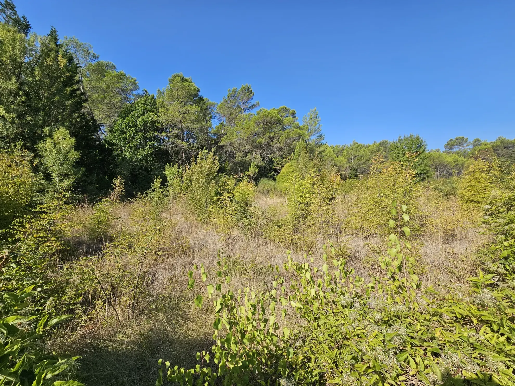 Terrain de loisirs de 2000 m² à Pignans avec puits, proche du centre-ville