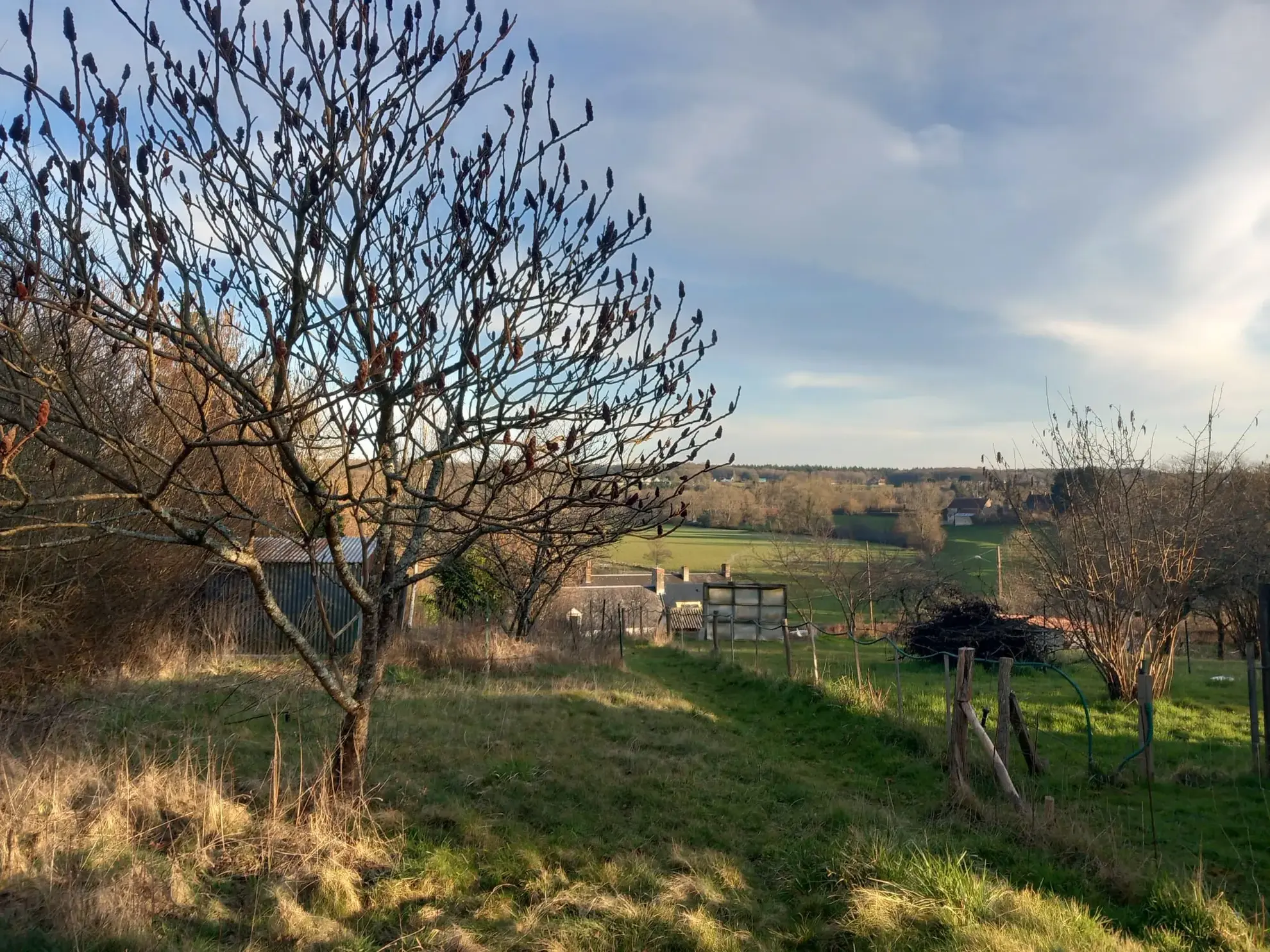 Maison en pierre avec 3 chambres à Guérigny, vue forêt, proche commodités 
