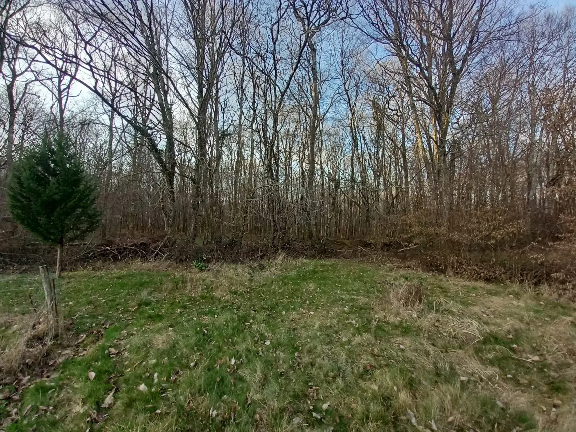 Maison en pierre avec 3 chambres à Guérigny, vue forêt, proche commodités 