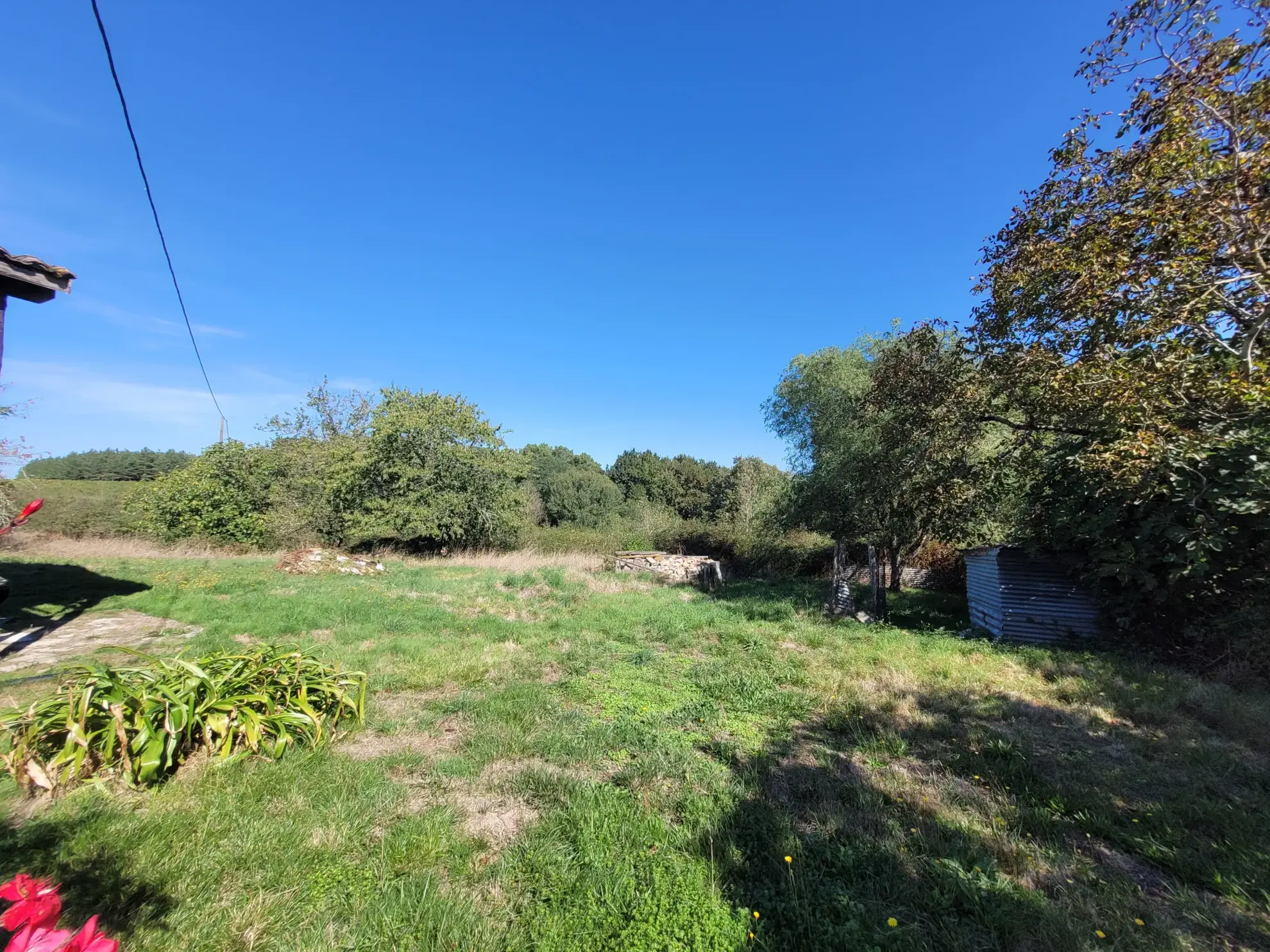 Maison de plain-pied avec grand terrain à Cocumont - 2 chambres 