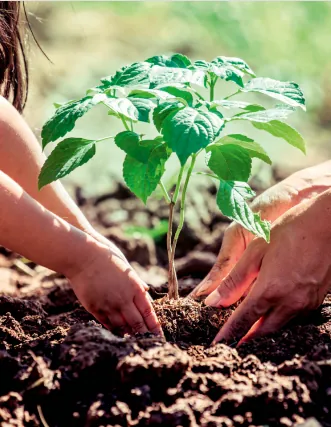 Appartement 3 pièces à Villers-sur-Mer avec balcon et parking - Livraison 2027 