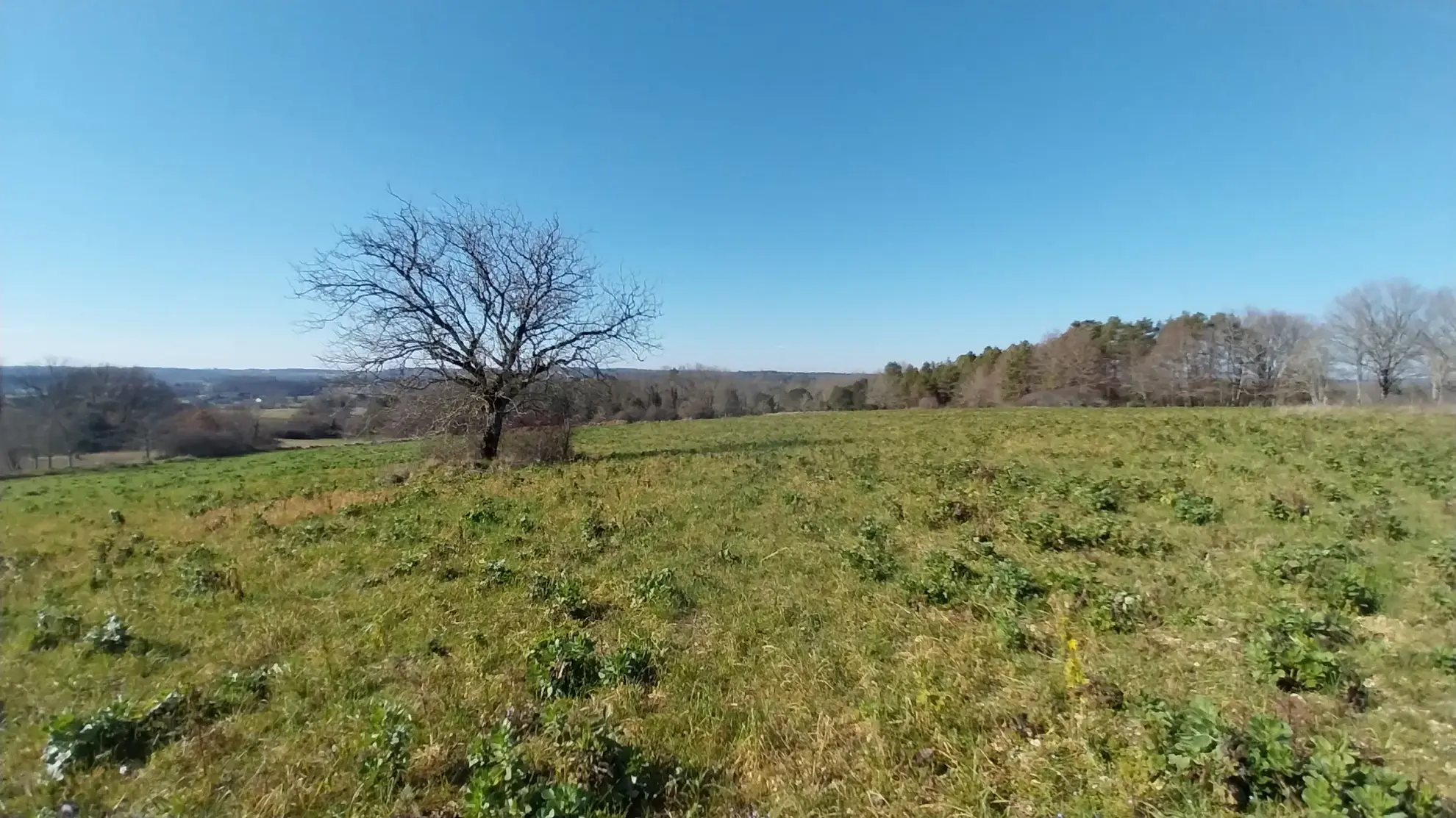 Terrain constructible de 2 600 m² près de Brantôme en Périgord Vert 