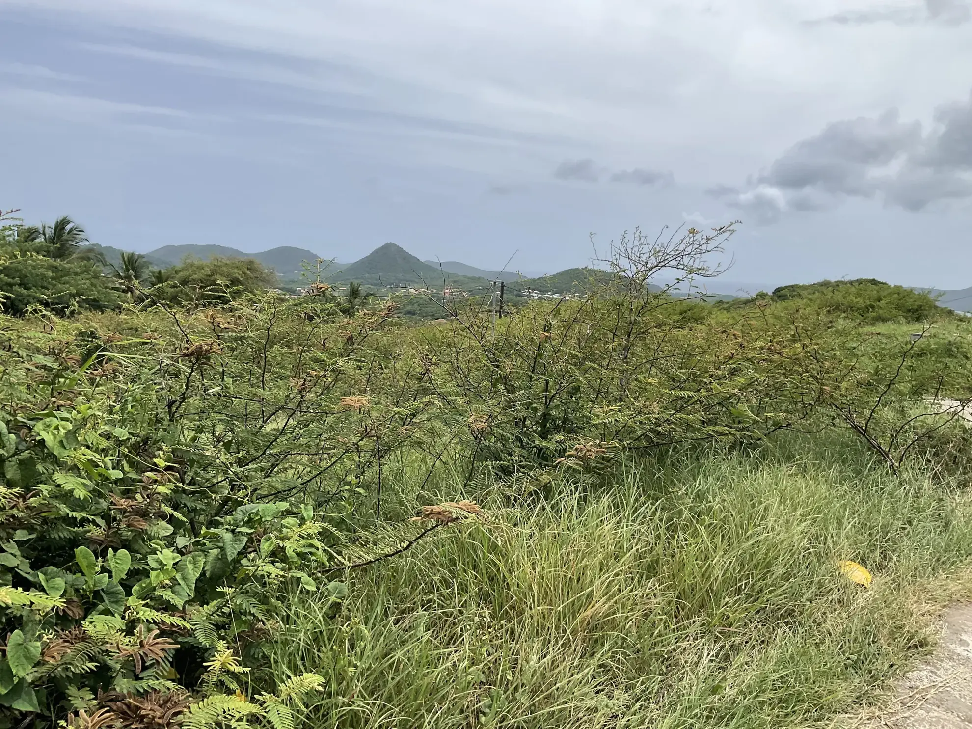 Terrain à bâtir de 513 m² au Marin – Quartier Champs Fleury 