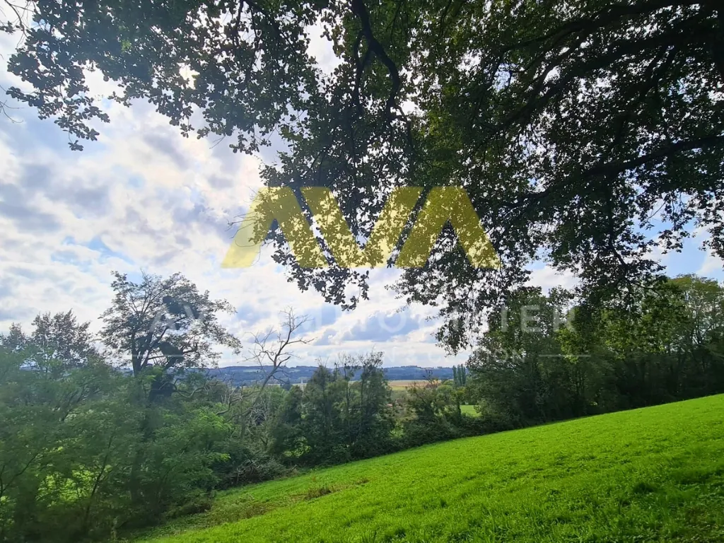 Maison à rénover de 131 m² avec grand terrain à Navarrenx 