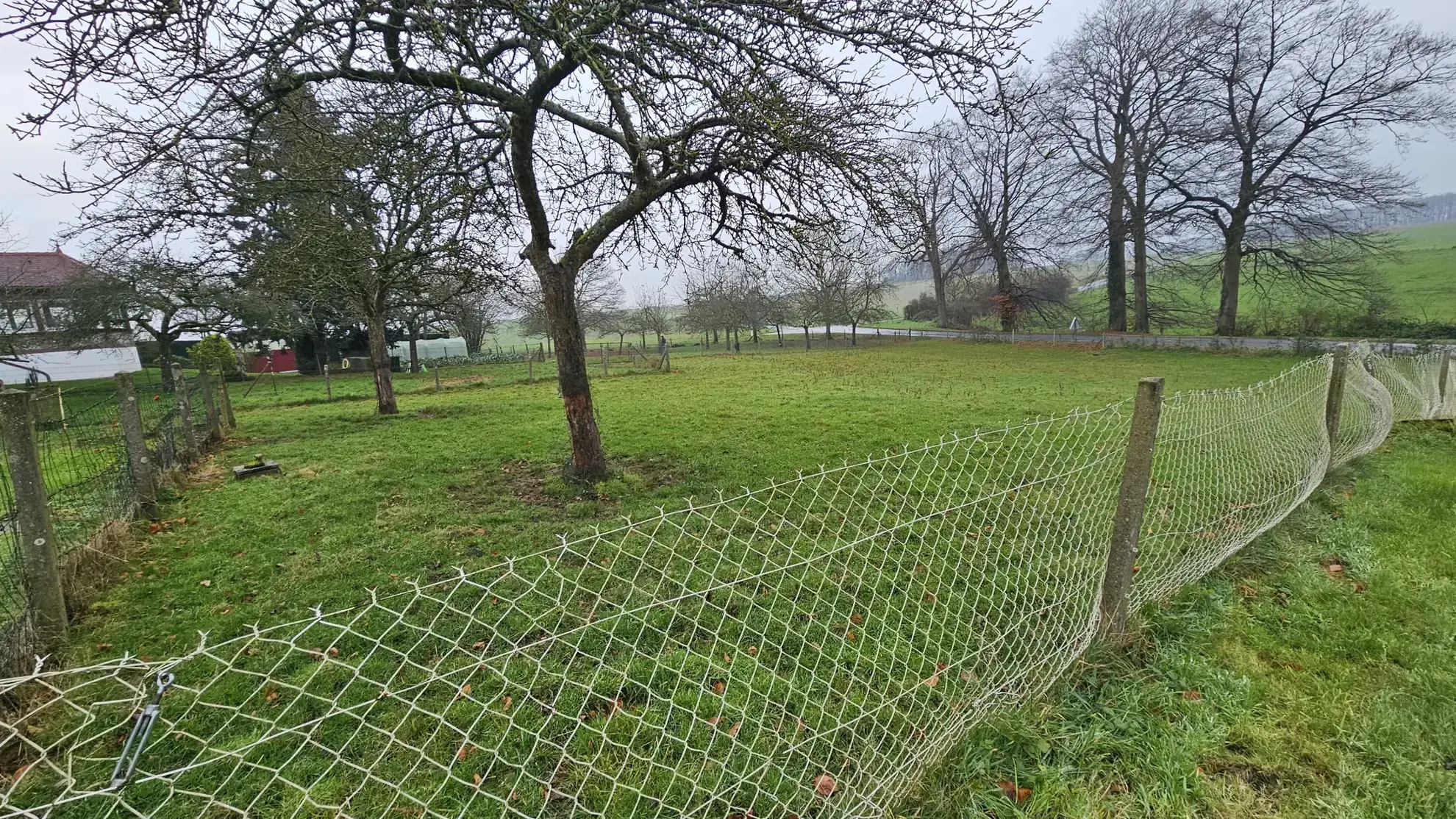 Maison de plain-pied avec 3 chambres et grand sous-sol à Longueville-sur-Scie 