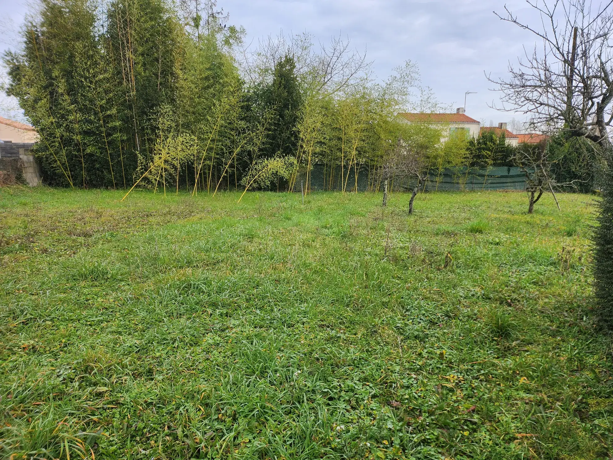 Terrain constructible non viabilisé de 290 m² à Sainte Gemme la Plainte