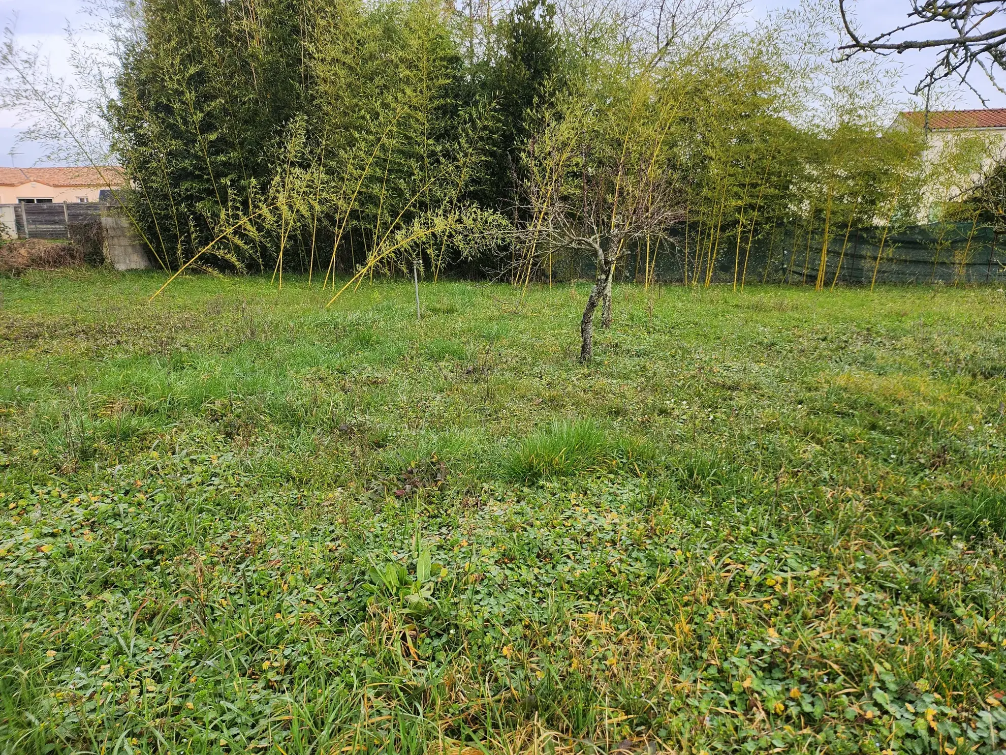 Terrain constructible non viabilisé de 290 m² à Sainte Gemme la Plainte 