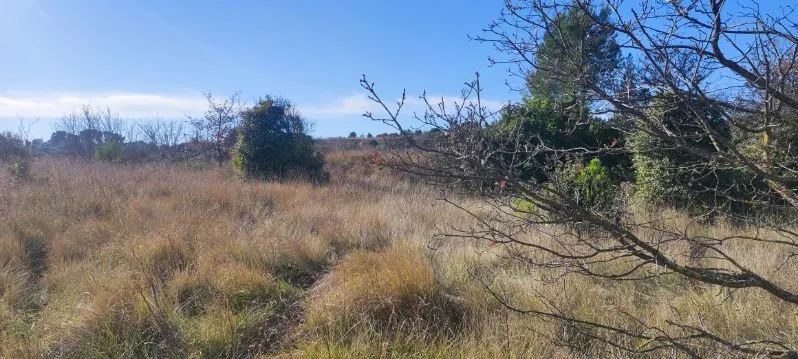 7 terrains agricoles à Nébian – Superficie totale de 21 172 m² 