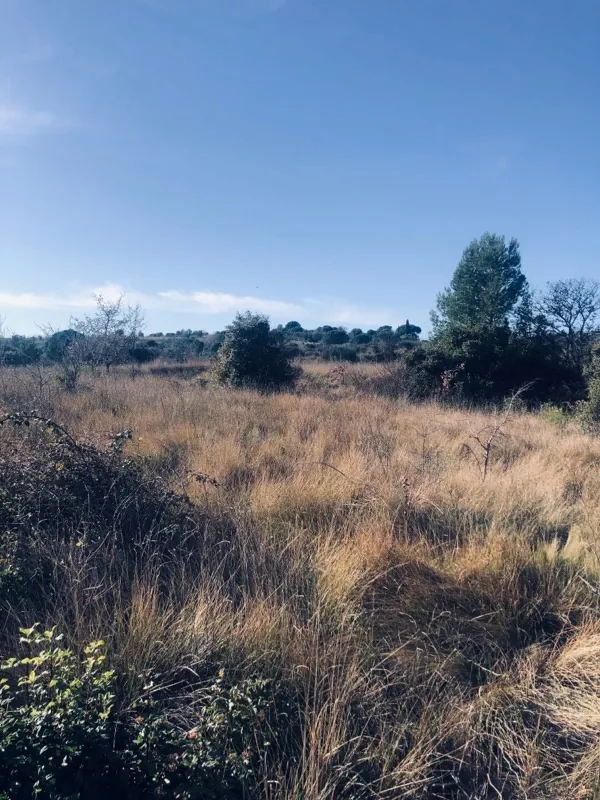 7 terrains agricoles à Nébian – Superficie totale de 21 172 m² 