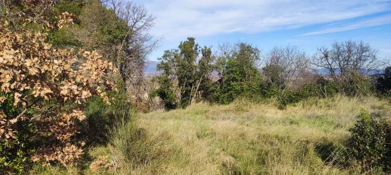 7 terrains agricoles à Nébian – Superficie totale de 21 172 m²