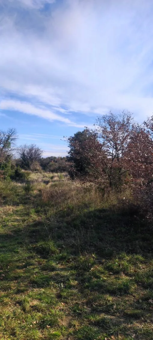 7 terrains agricoles à Nébian – Superficie totale de 21 172 m² 