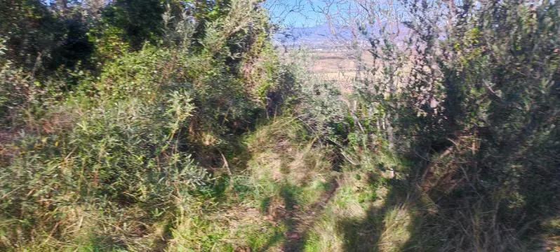 7 terrains agricoles à Nébian – Superficie totale de 21 172 m² 