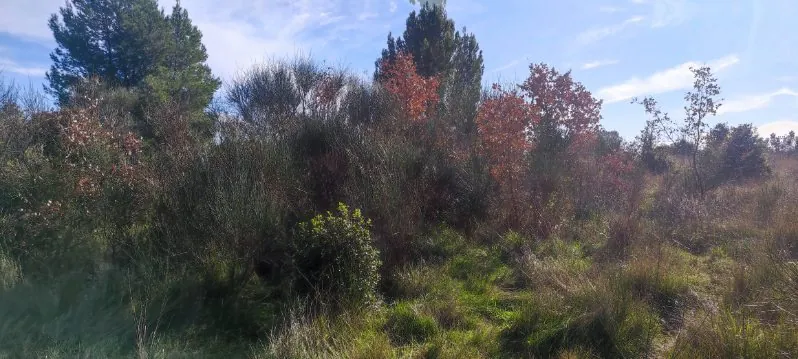 7 terrains agricoles à Nébian – Superficie totale de 21 172 m² 