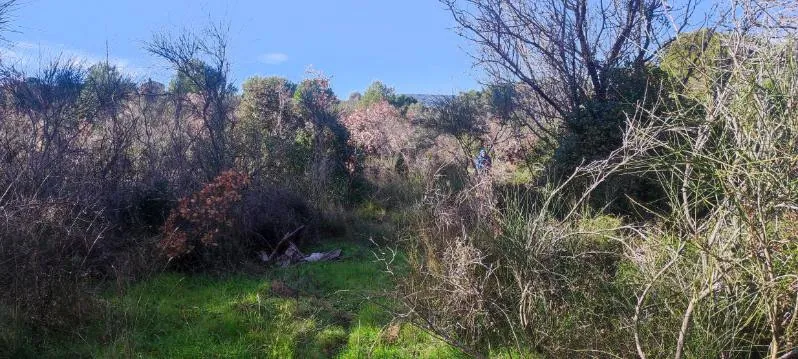 7 terrains agricoles à Nébian – Superficie totale de 21 172 m² 