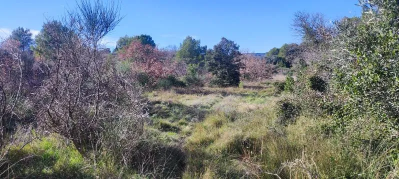 7 terrains agricoles à Nébian – Superficie totale de 21 172 m² 