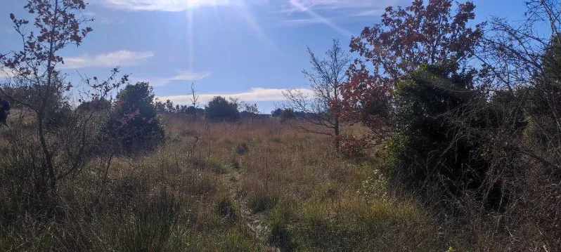 7 terrains agricoles à Nébian – Superficie totale de 21 172 m² 