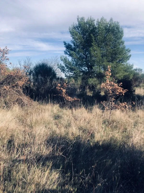 7 terrains agricoles à Nébian – Superficie totale de 21 172 m² 