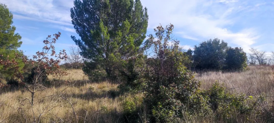 7 terrains agricoles à Nébian – Superficie totale de 21 172 m² 