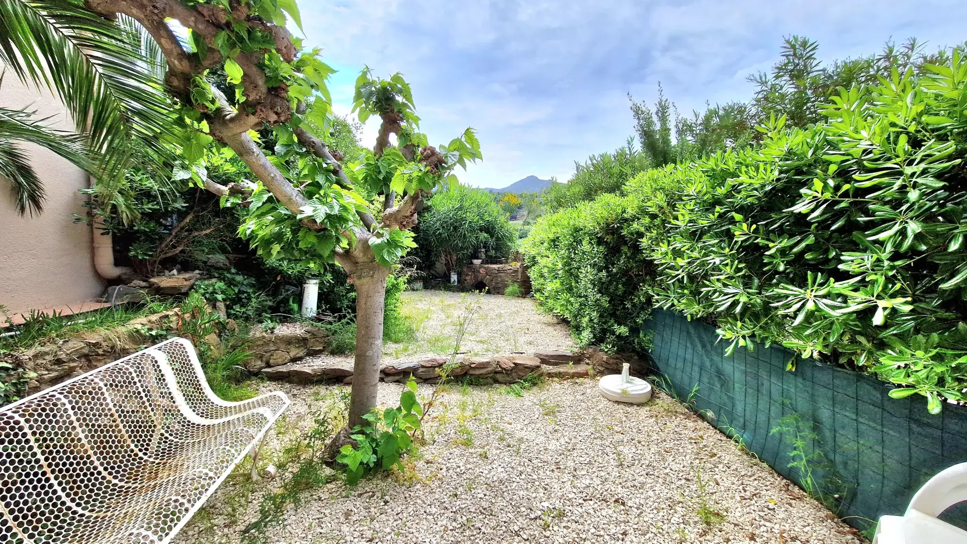 Bel appartement T2 avec jardinet et véranda à Collioure 