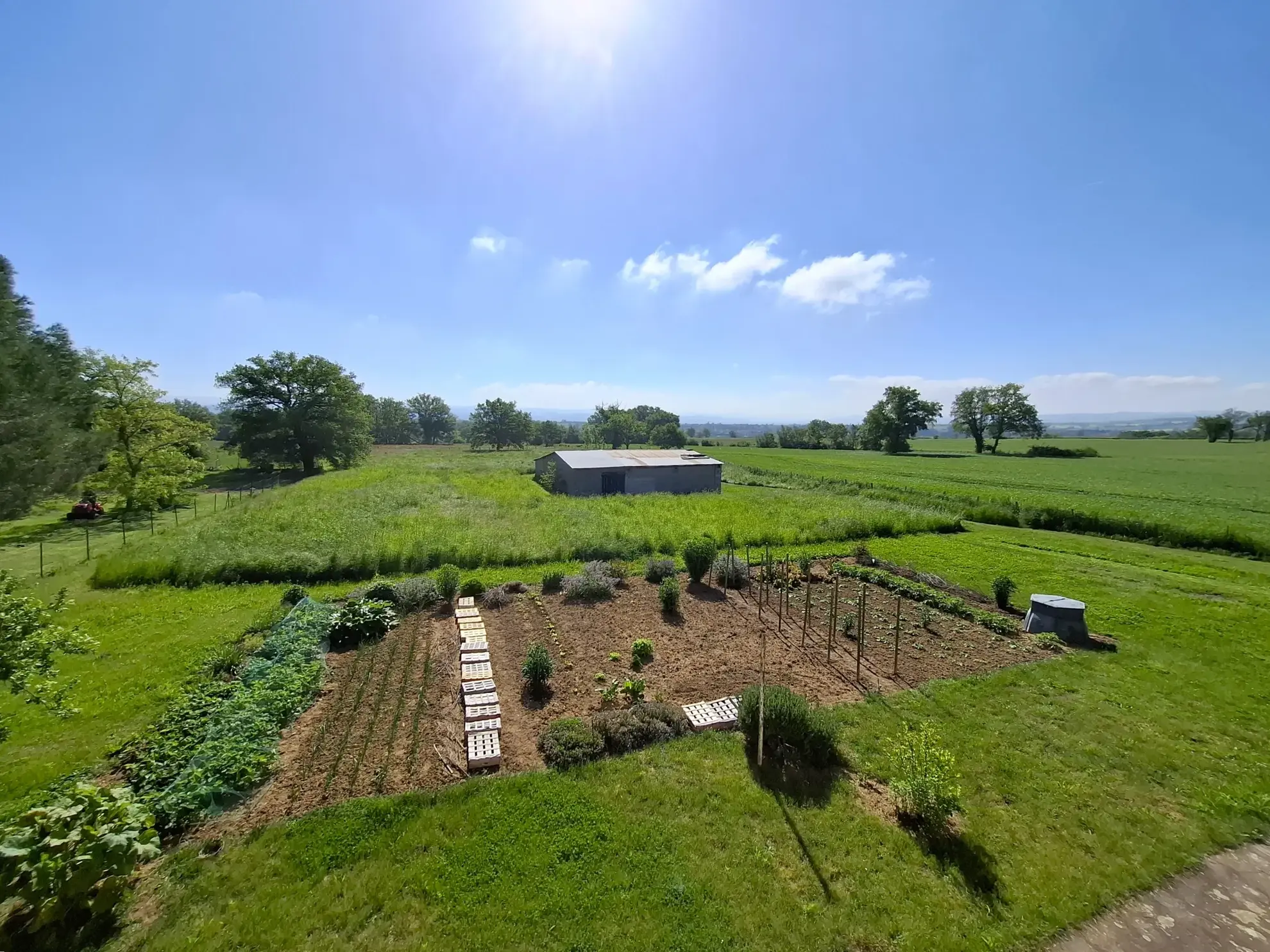 Appartement T2 rénové de 50 m² à Saint-Étienne, emplacement exceptionnel 