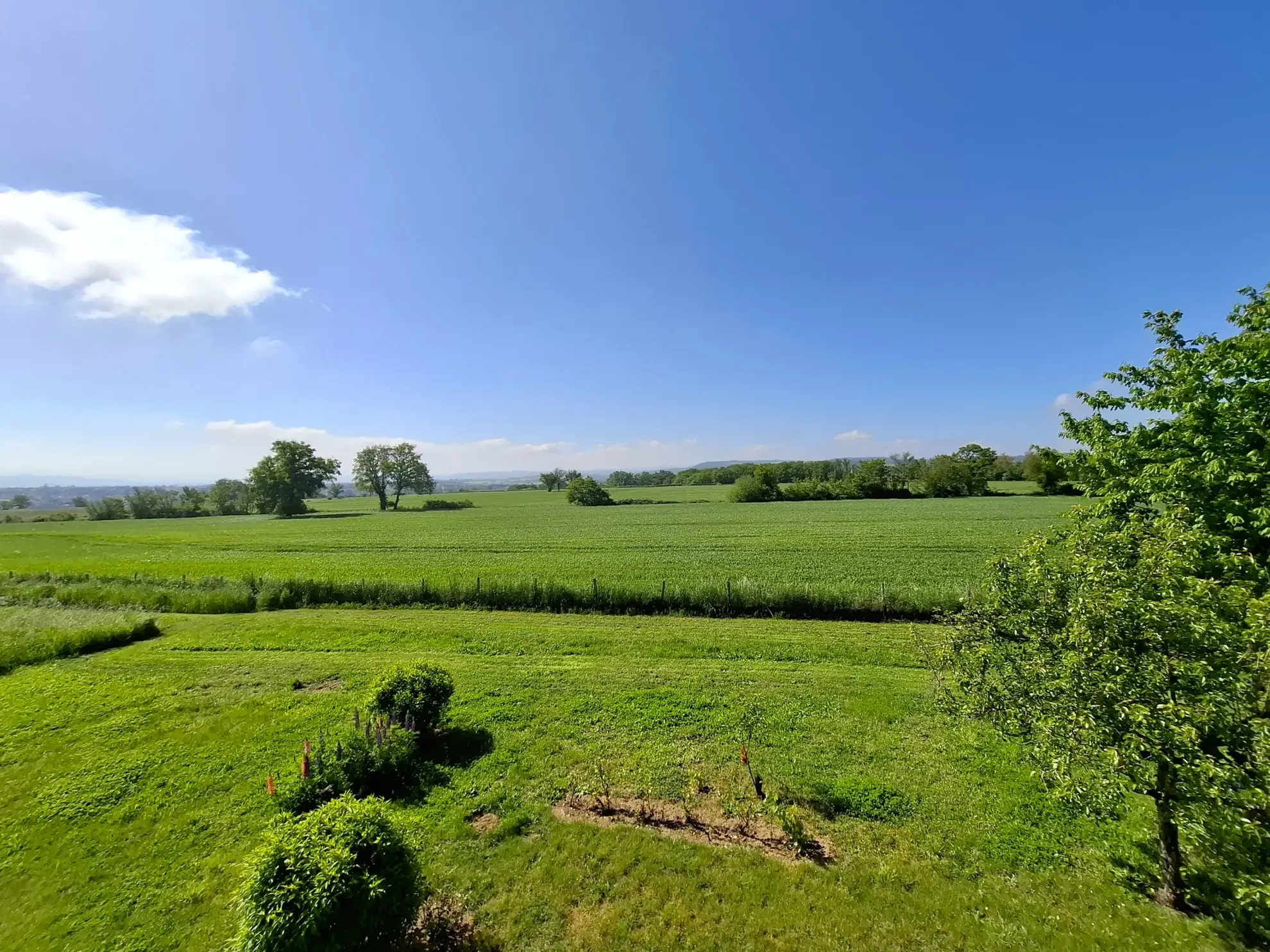 Appartement T2 rénové de 50 m² à Saint-Étienne, emplacement exceptionnel 