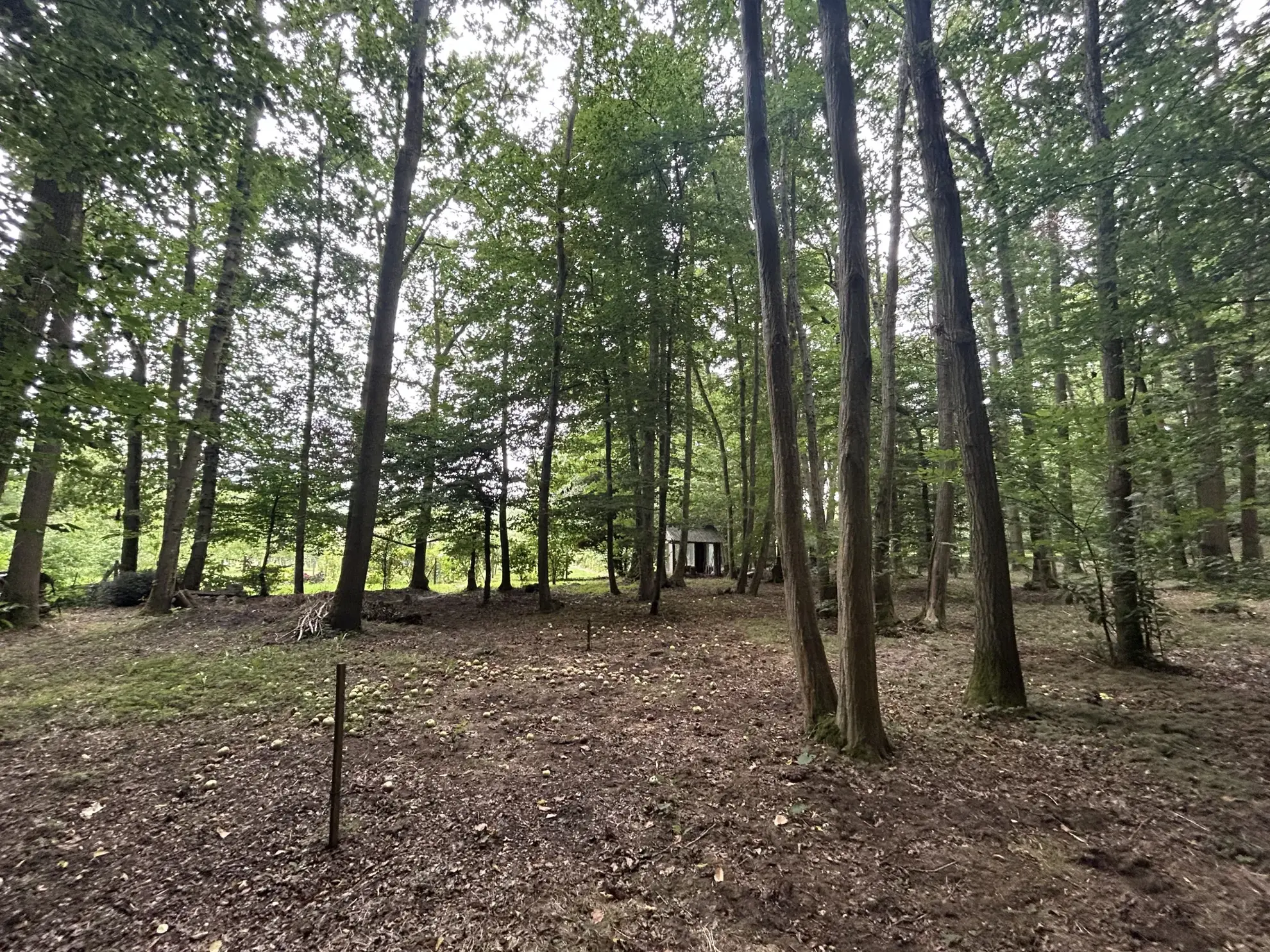 Belle maison à Janville sur Juine avec grand terrain et aménagement pour deux familles 