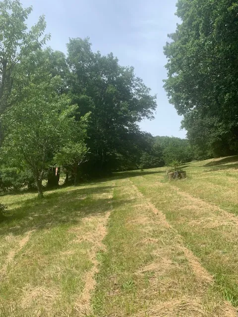 Belle maison de campagne en pierre de 65 m² en Dordogne avec terrain arboré 