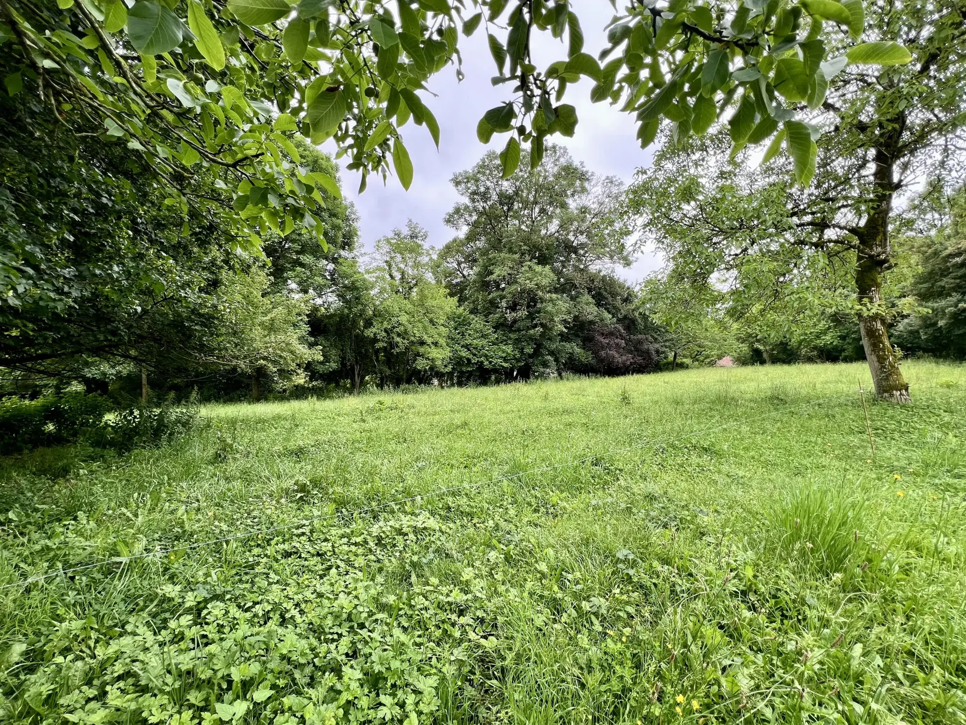 Charmante maison en pierres rénovée à Aspet avec grandes dépendances et jardin 