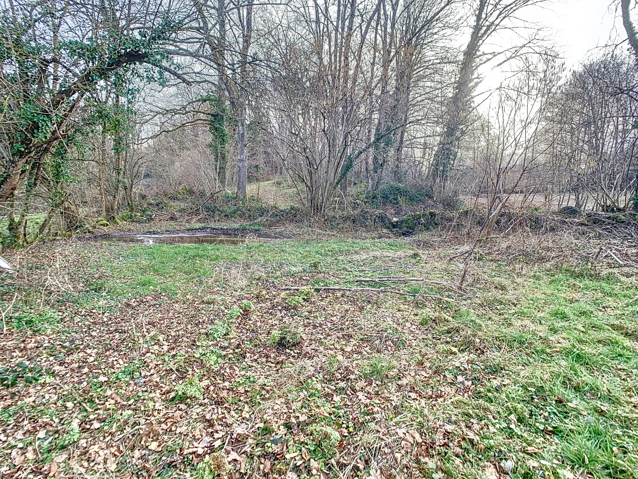 Maison de campagne avec grand terrain à proximité de Champagnat en Creuse 