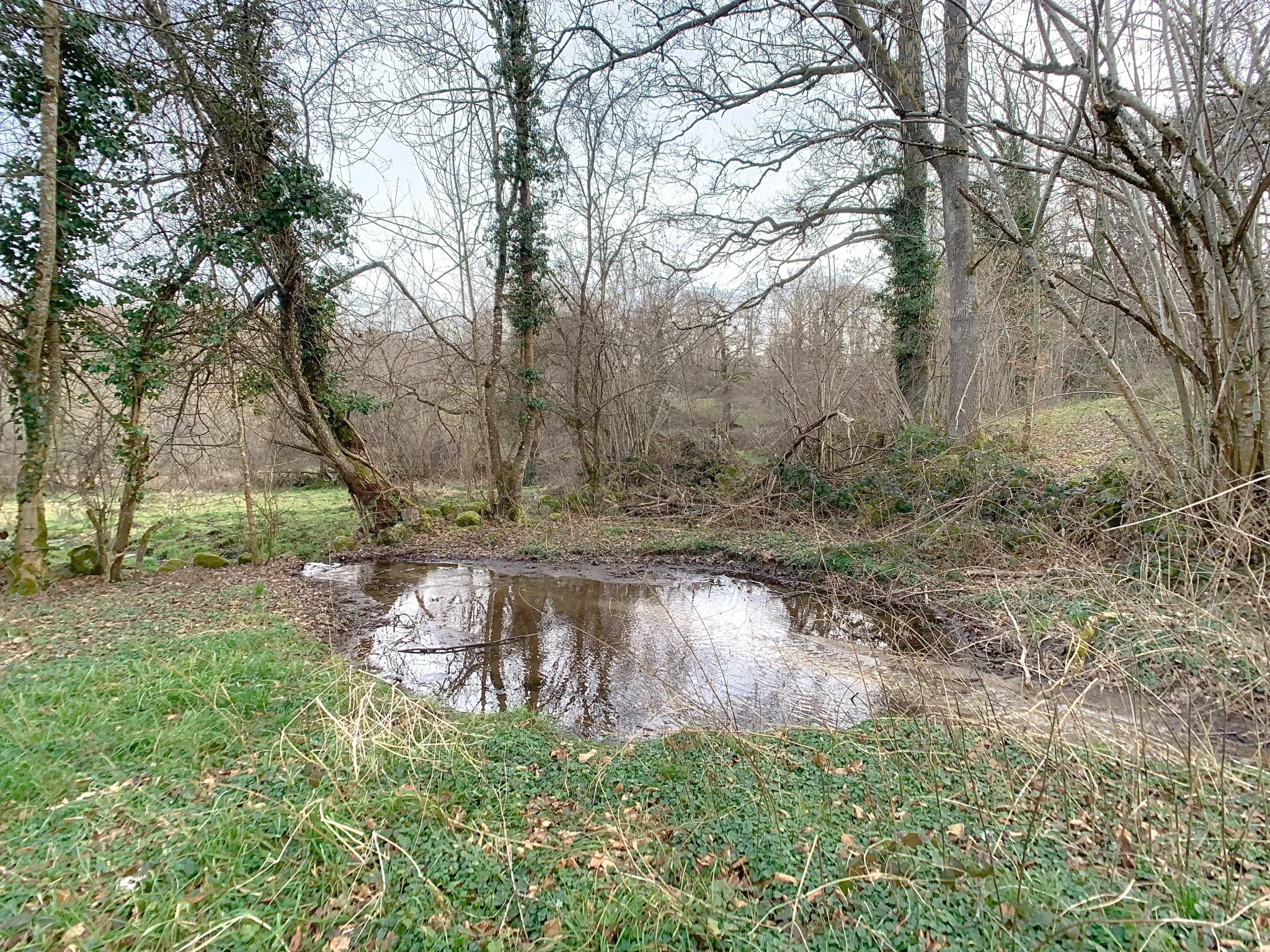 Maison de campagne avec grand terrain à proximité de Champagnat en Creuse 