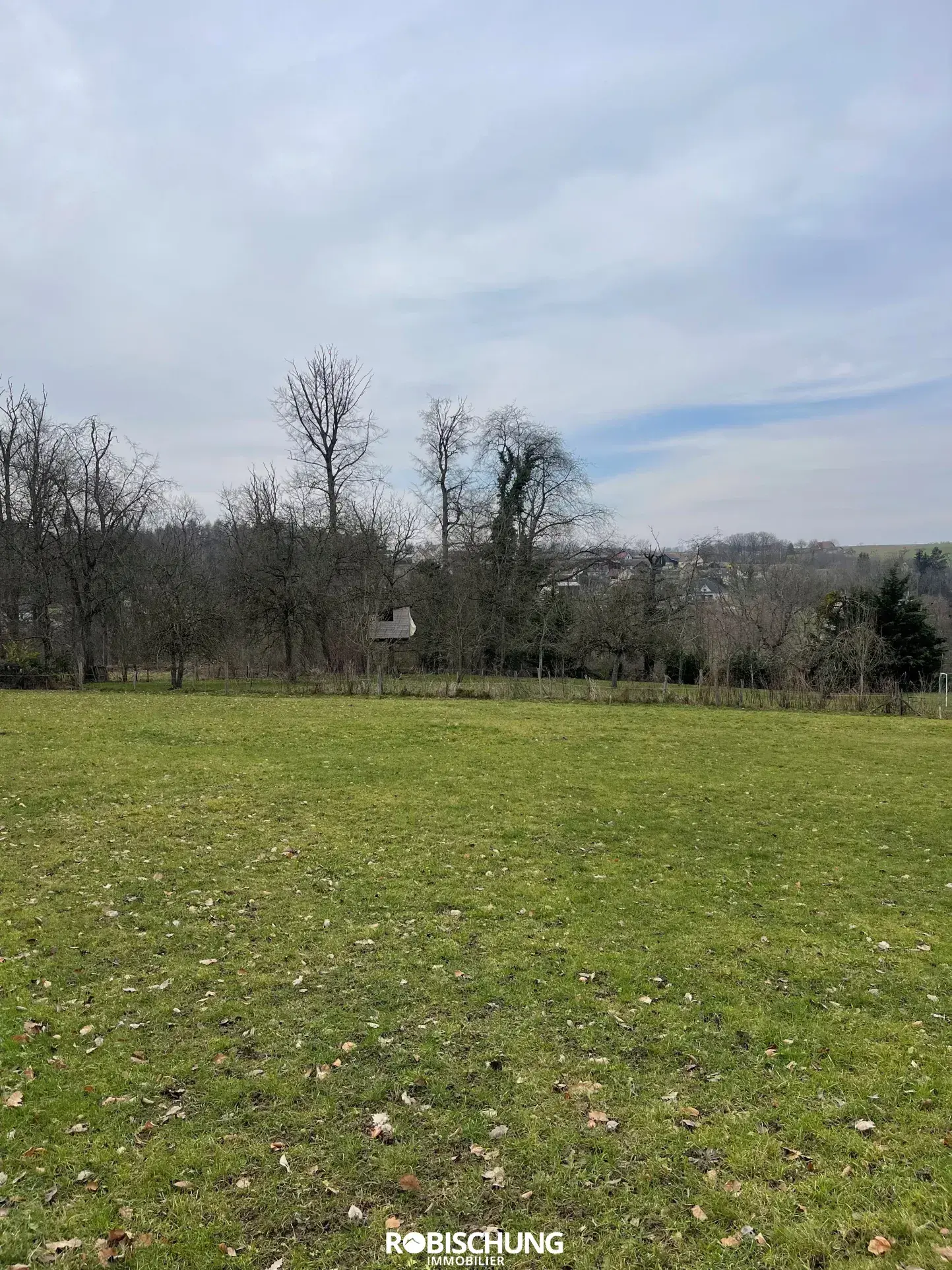 Terrain à vendre à Heimersdorf – 87 ares dont 21 constructibles dans un secteur privilégié 