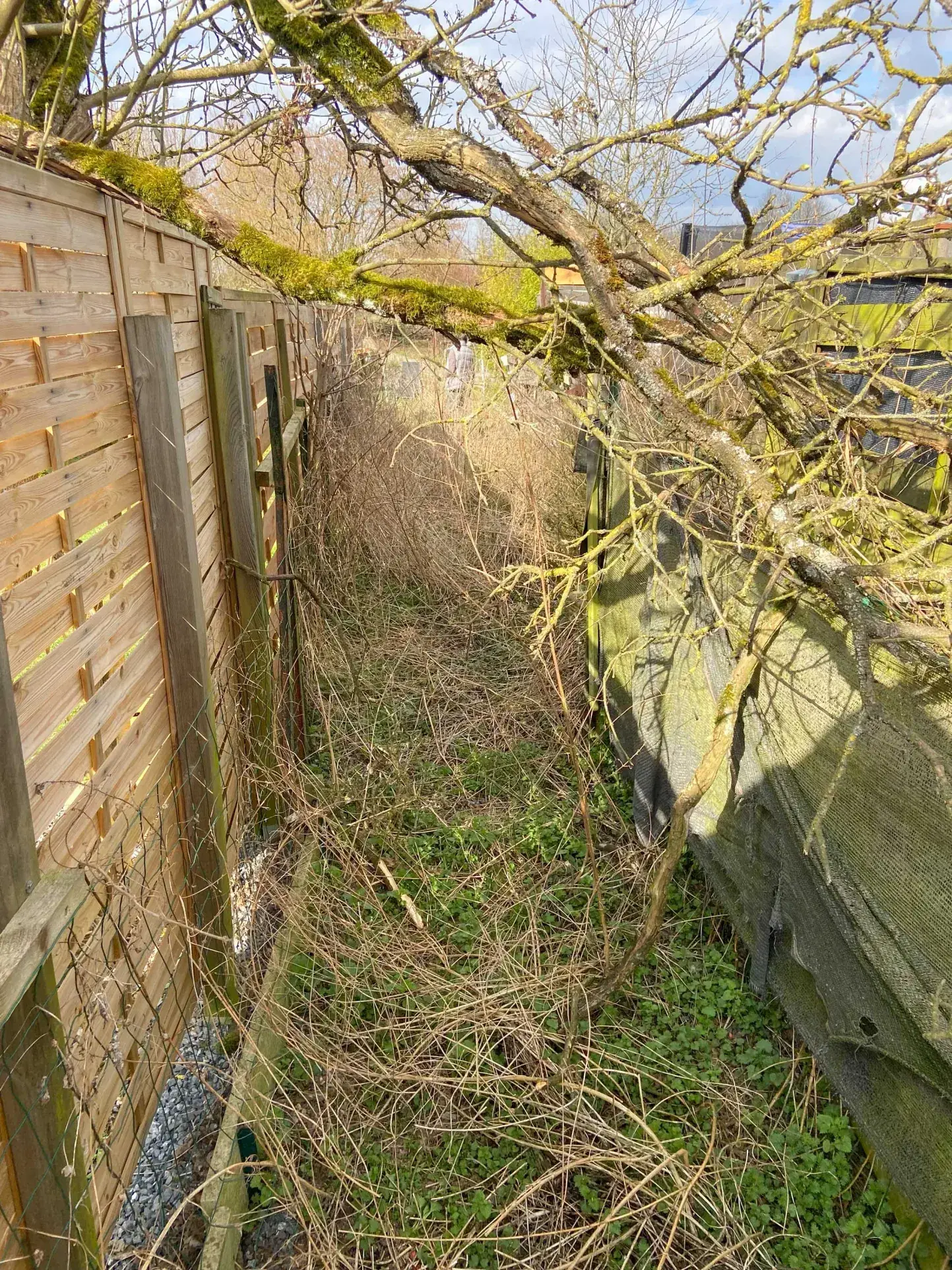 Maison de village à Jeumont avec potentiel d'aménagement - 85 m² 