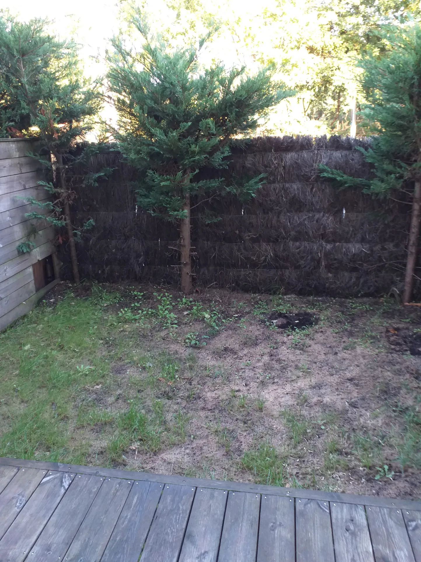 Appartement T1 à vendre à Grand Piquey, Lège-Cap-Ferret, avec terrasse et parking 