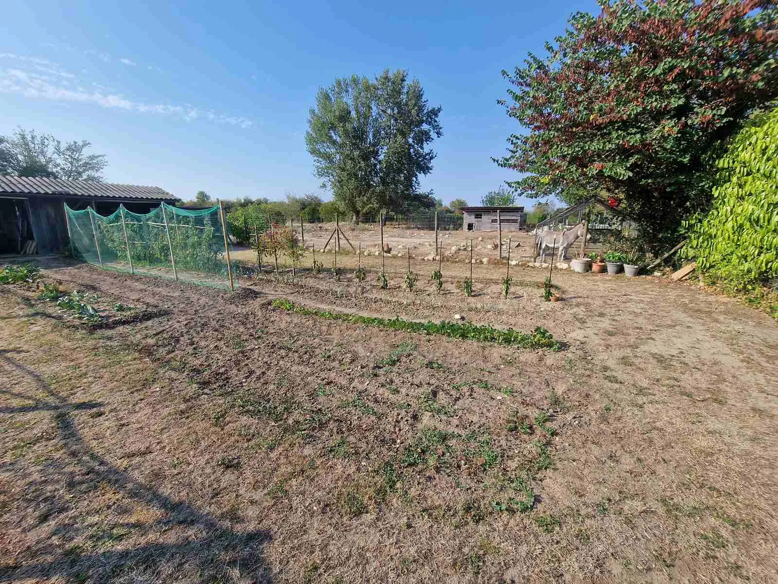 Charmante maison en pierre avec garage et dépendances à Saint-Paul, 116 m² sur terrain de 2643 m² 