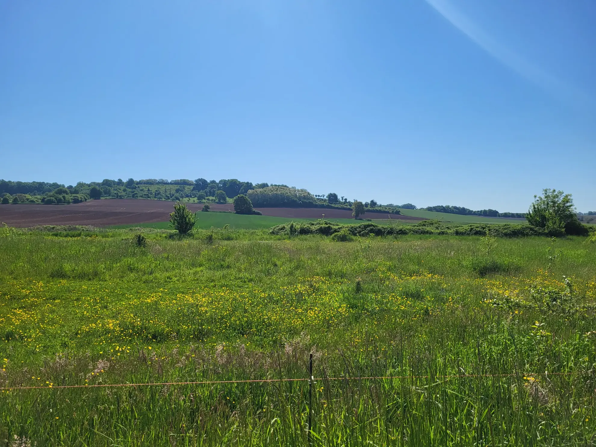Maison de plain-pied à Holling avec terrain de 6,15 ares 