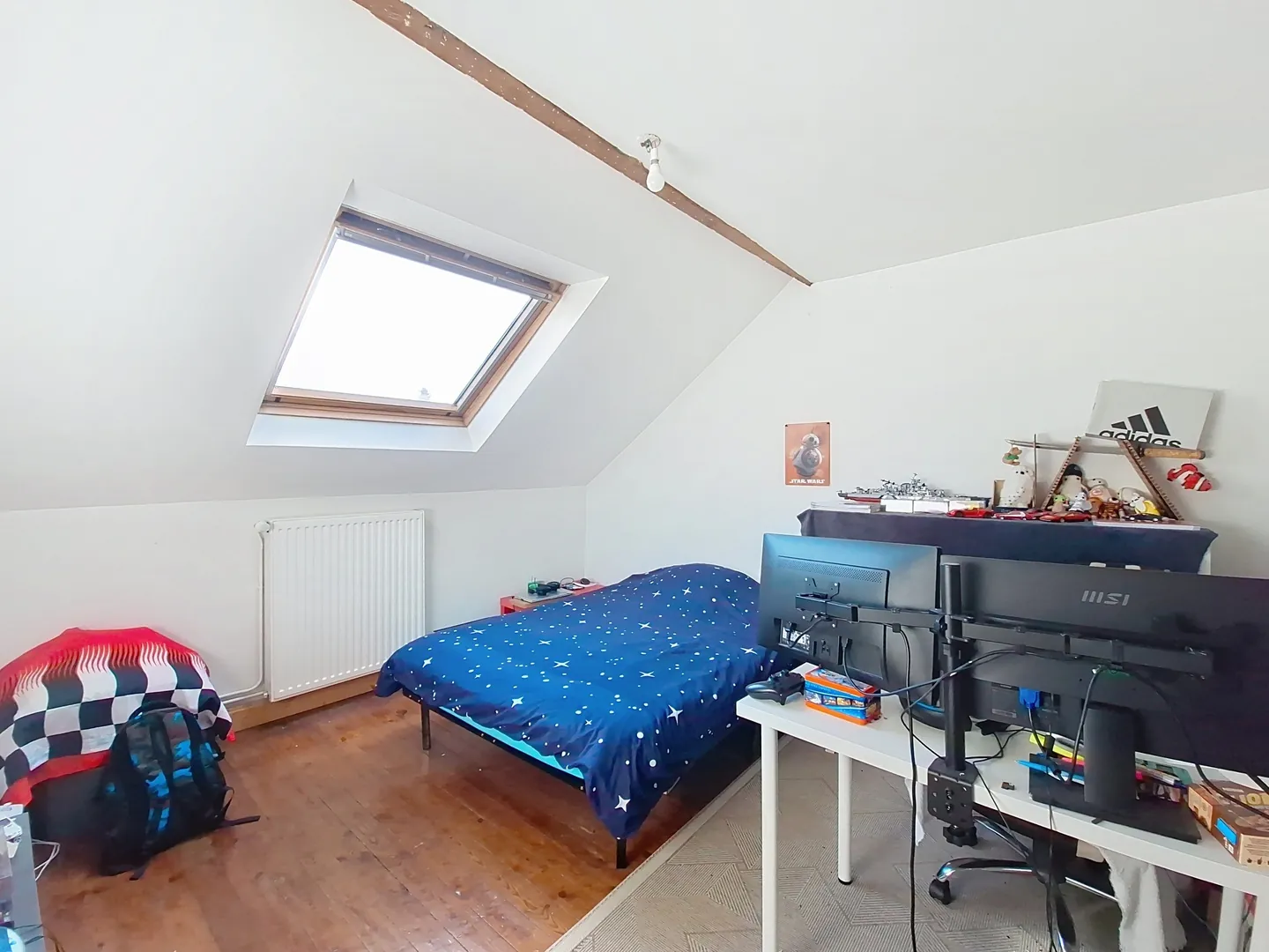 Belle maison ancienne avec jardin en plein centre de Périgueux 