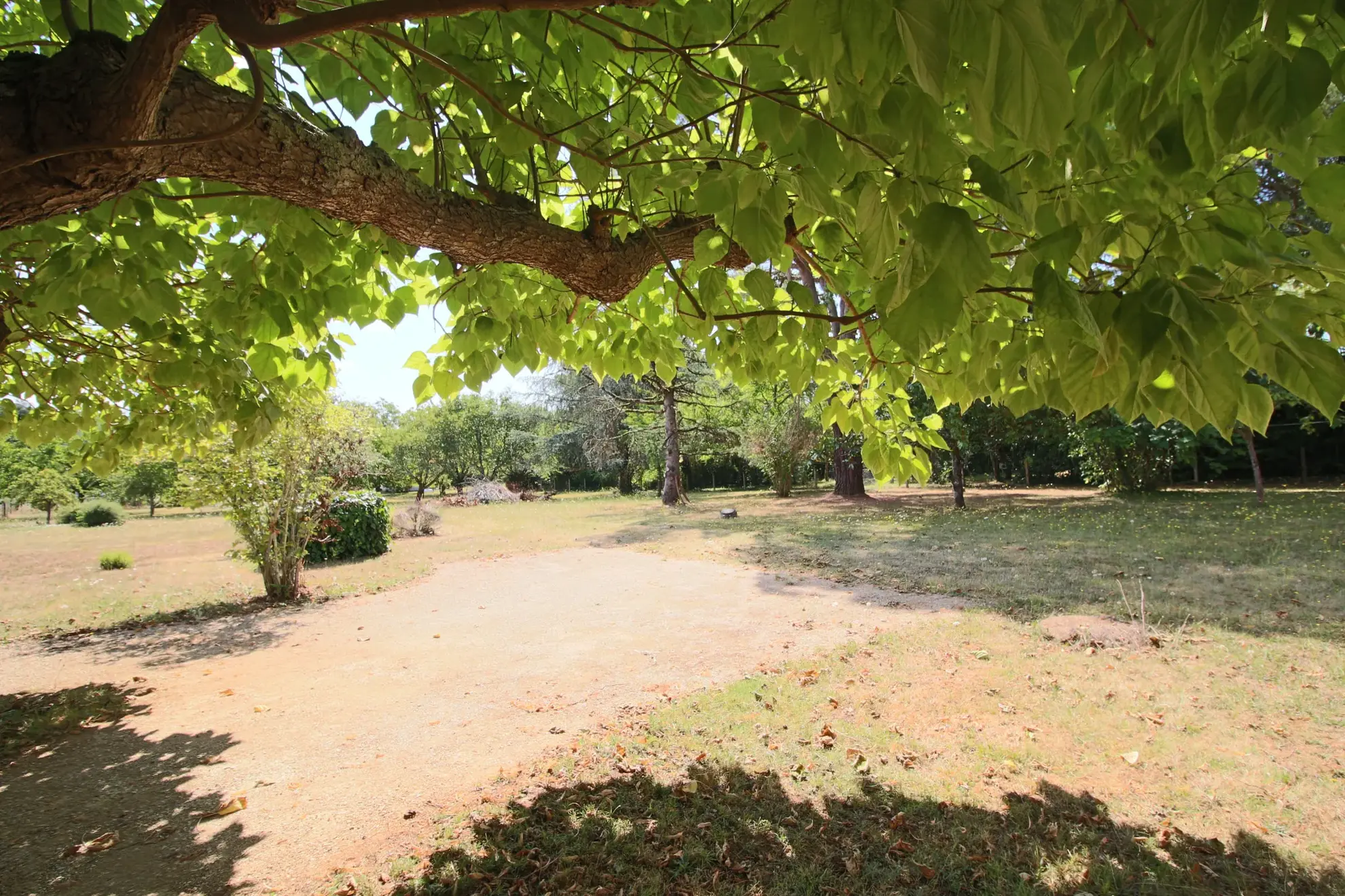 Belle maison moderne avec grand terrain dans le Lot proche de Puy-l'Évêque 