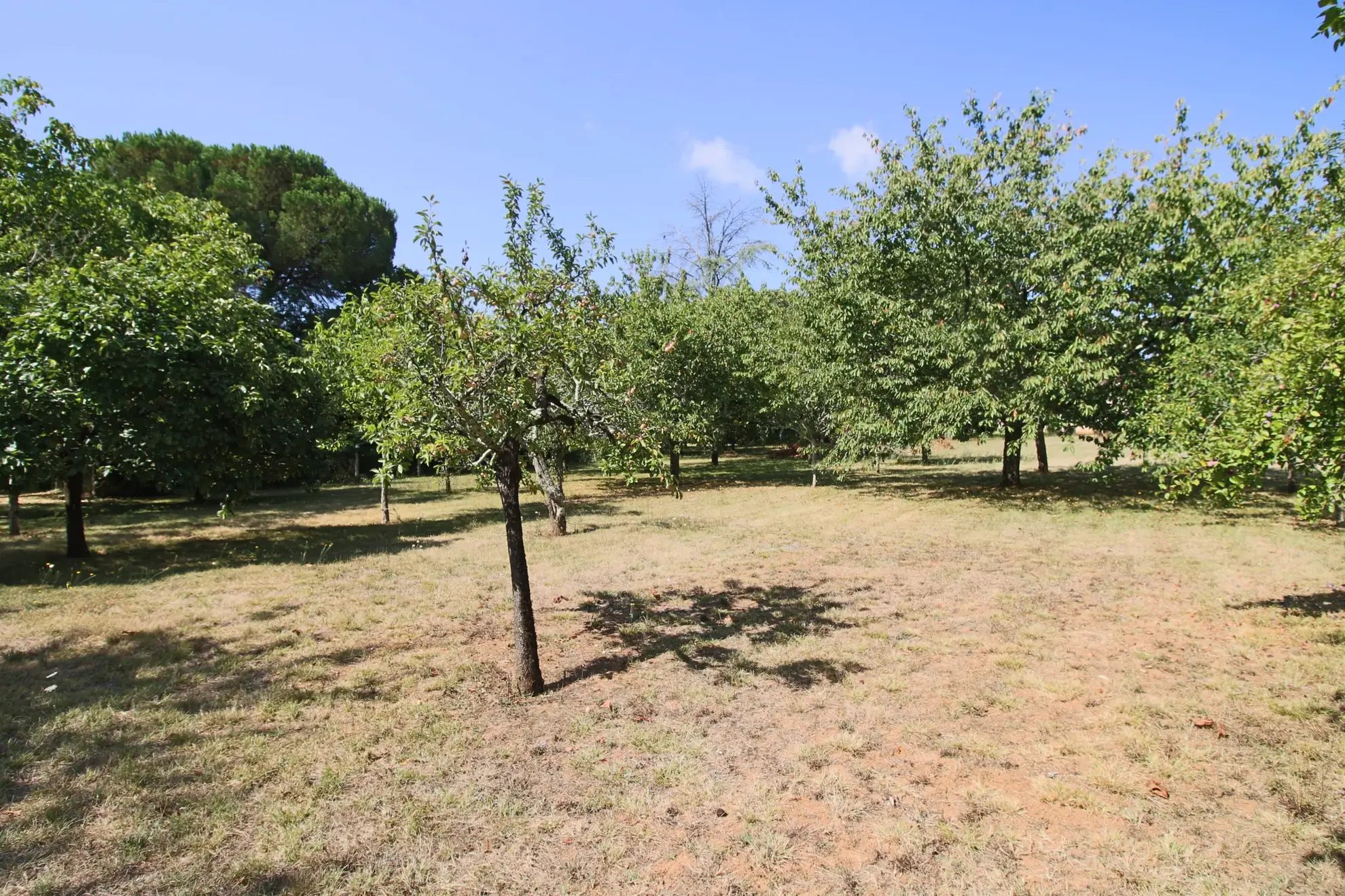 Belle maison moderne avec grand terrain dans le Lot proche de Puy-l'Évêque 
