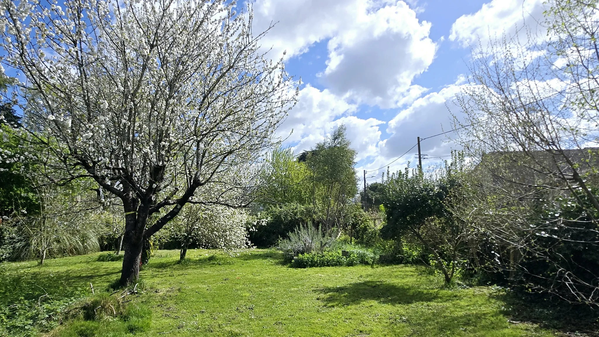 Charmante maison en pierre de 220 m² avec jardin, piscine et grange à Sainte-Terre 
