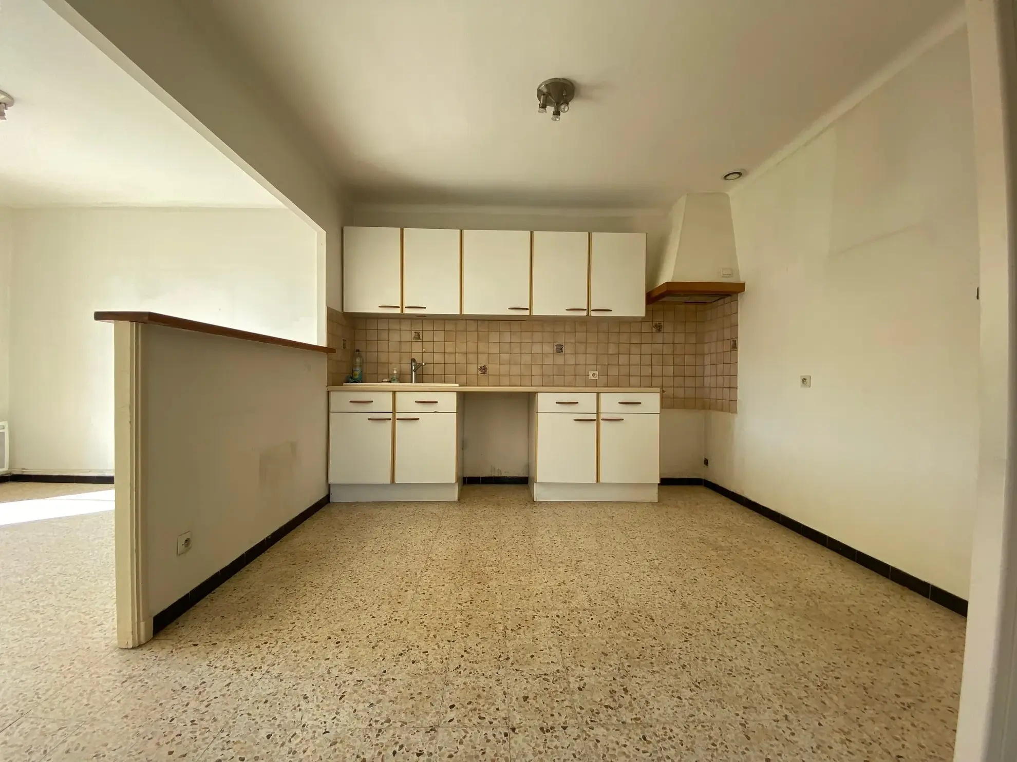 Immeuble à Morieres-lès-Avignon avec local commercial et appartement T4 